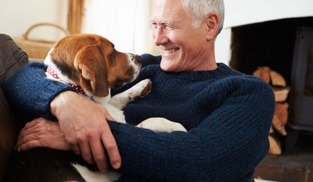Seniors Benefit from the Healing Power of Animals